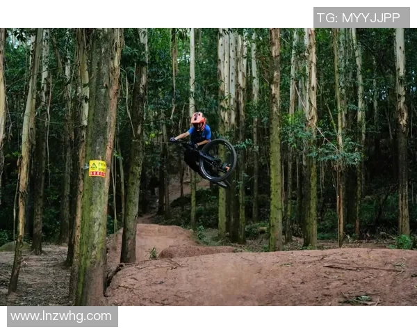 今年运动数据重庆极限运动队团队协作创新高引领全国极限运动新潮流